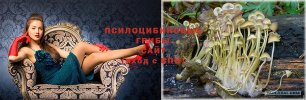 круглые Белокуриха