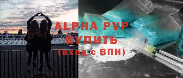 прущие крисы Верея