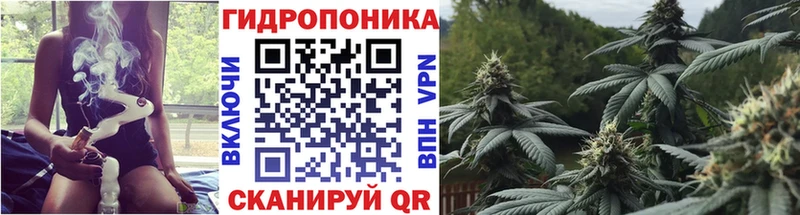 Бошки Шишки семена  Верхнеуральск 